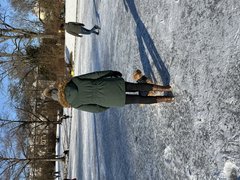 IMG_3124.jpeg