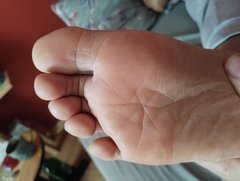 IMG_20260215_095850354.jpg