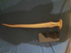 20260215_173134.jpg