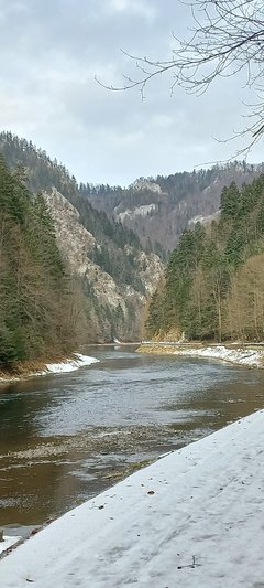20260205_125433.jpg