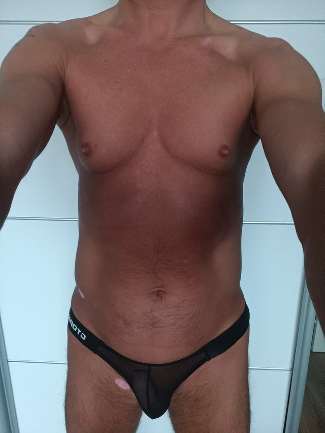 Wilk0012