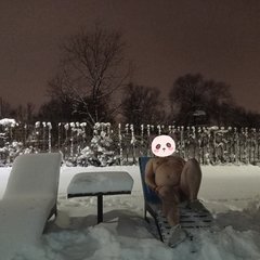 1000052182.jpg