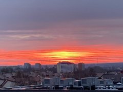 IMG_2294.jpeg