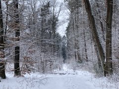 IMG_2193.jpeg