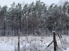 IMG_2196.jpeg