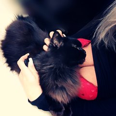 🐾🐾🐾