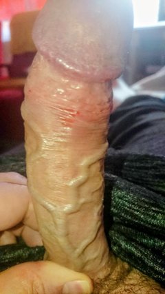 12281.jpg