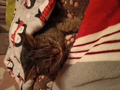 IMG_20260207_181810588.jpg