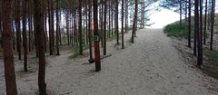 2025-08-13 (10).jpg
