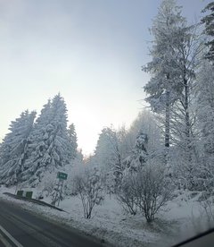 IMG_20260219_092934.jpg