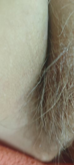 1000076211.jpg