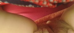 1000076208.jpg