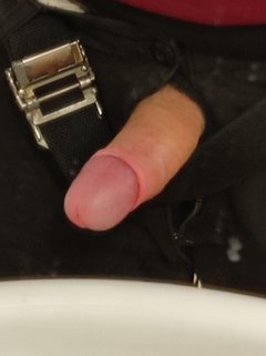 IMG_20260220_131110.jpg