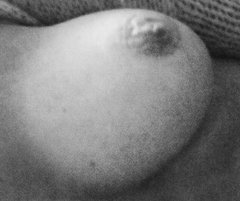 IMG_20260220_193301.jpg