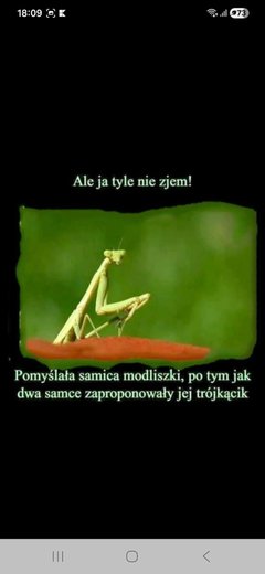 Messenger_creation_521E6B66-66D7-4C85-A480-12826111D952.jpeg