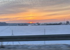 IMG_4432.jpeg