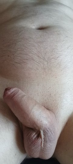 5290.jpg