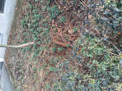 IMG_20260223_134155627.jpg