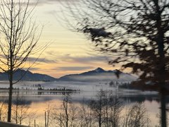 IMG_0259.jpeg