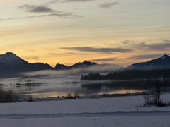 IMG_0255.jpeg