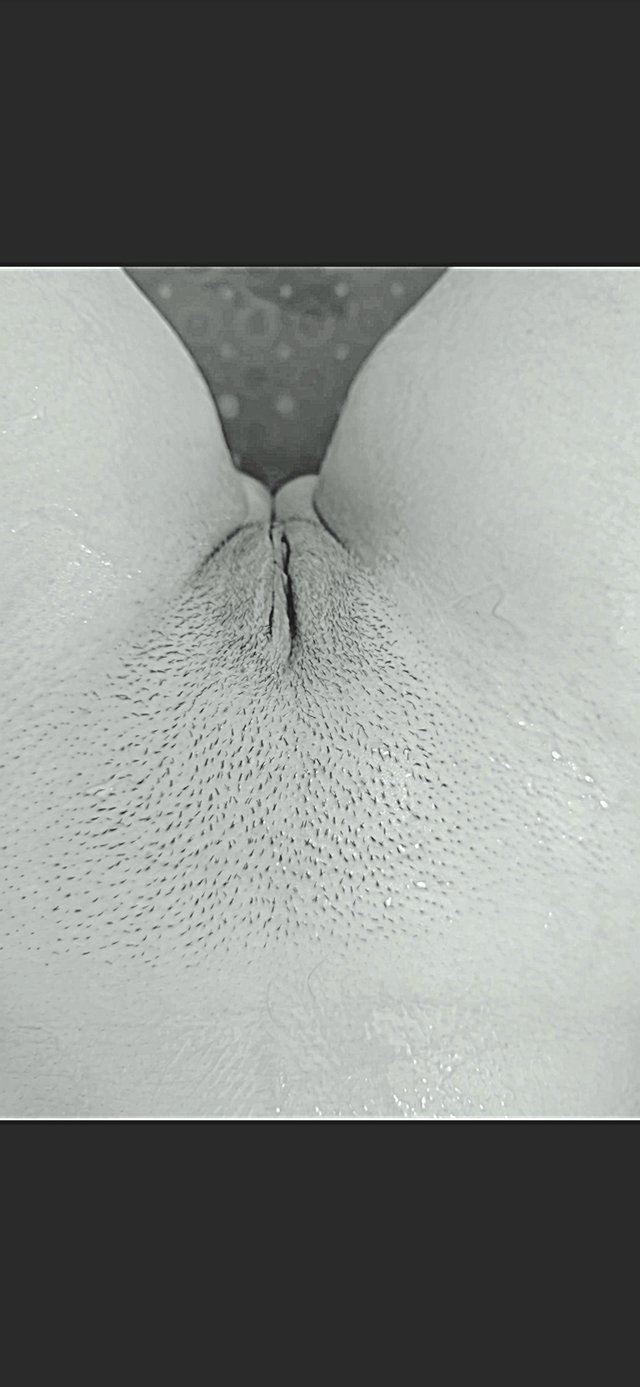 MBSL