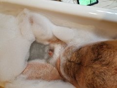 20250624_184930.jpg