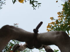IMG_4243.JPG