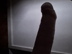 IMG_6559.jpeg