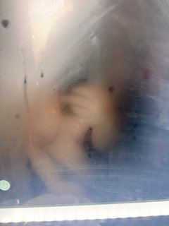 IMG_2535.jpeg