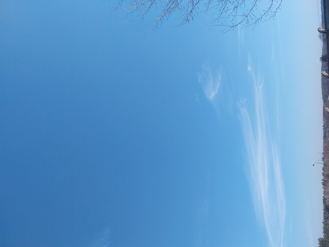 Malzestwo8080