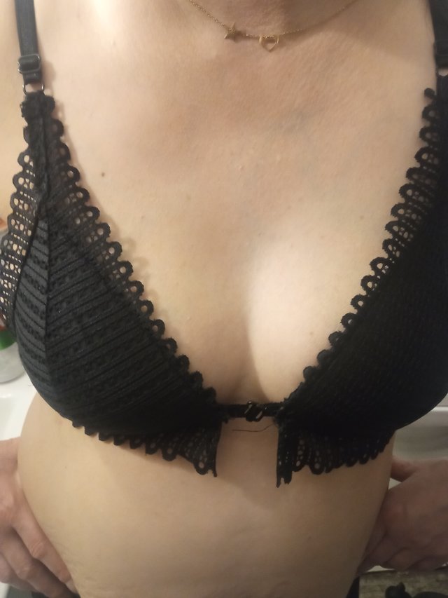 ParaZDW81