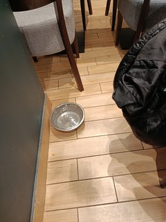1000003694.jpg
