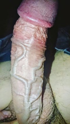 13016.jpg
