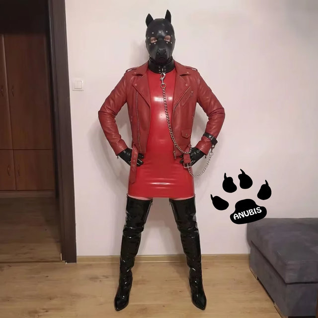 Anubis86PL