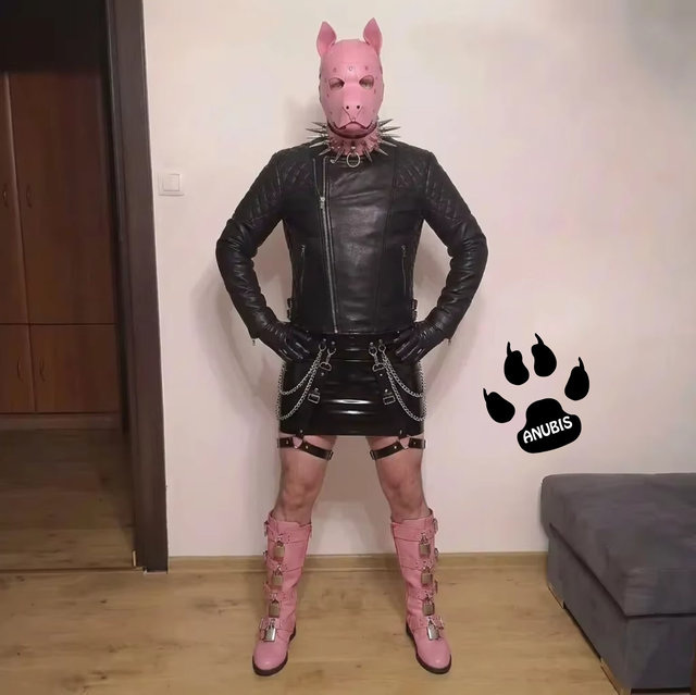 Anubis86PL