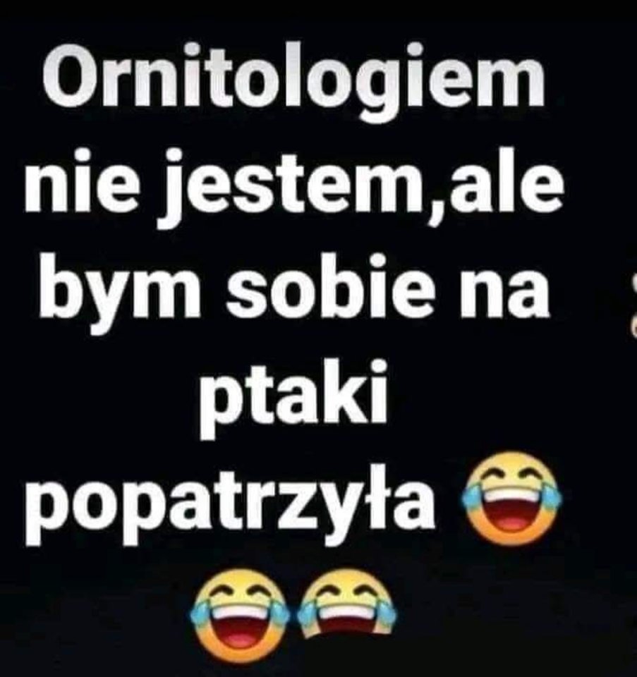1000017163.jpg - kocica87jkm