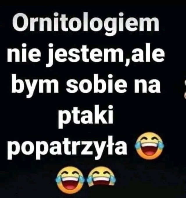 kocica87jkm