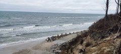 IMG_20260301_095757.jpg