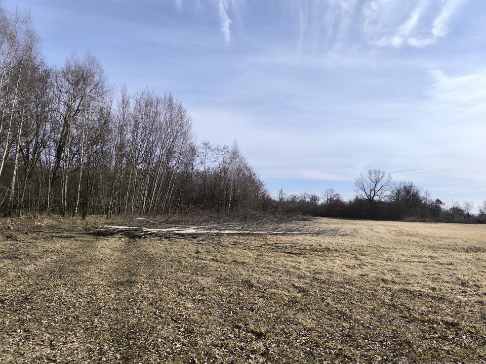 1000001202.jpg - ksiazek73