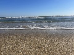 IMG_2202.jpeg