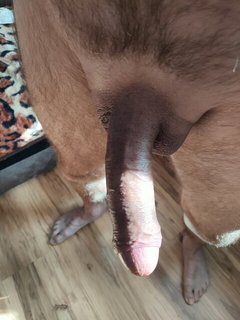 dbbebaf03f326273743c0e1b018948fe.jpg