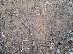 20260303_072142.jpg