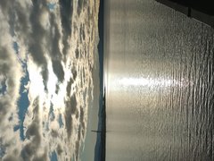1000283966.jpg