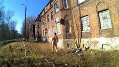 _snapshot_03.27_[2026.03.05_15.15.22].jpg