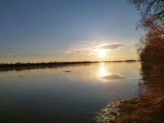 IMG_20260302_164415.jpg
