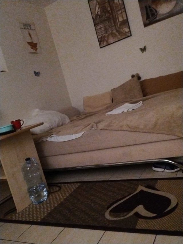 wacekwacek65