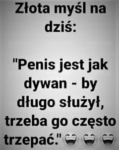08_n.jpg