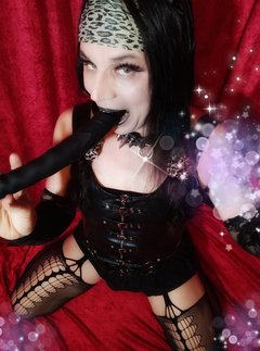 Black  Cock
