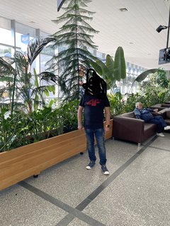 IMG_4967.jpeg