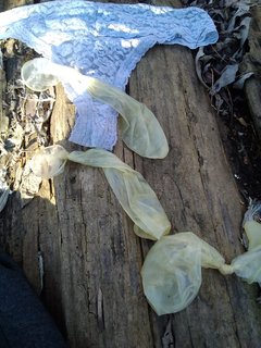 IMG_20260307_141825.jpg